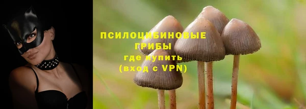 таблы Снежинск