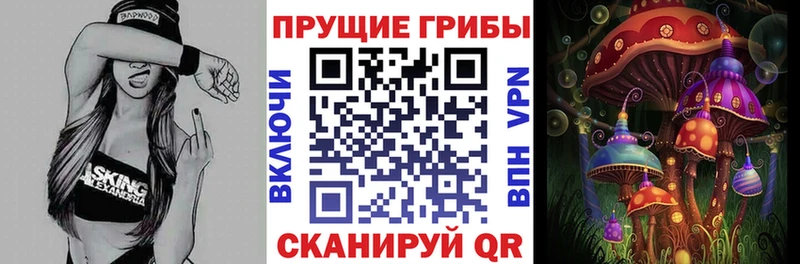 Псилоцибиновые грибы MAGIC MUSHROOMS  Тула 